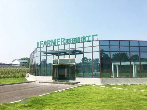 陜西旭田植物工廠在渝成功投產，總投資約800萬助力現代農業發展